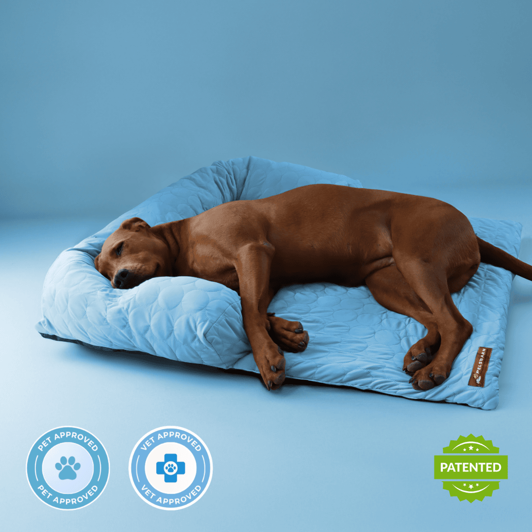 Cama de enfriamiento Pelsbarn (4 veces más efectiva)