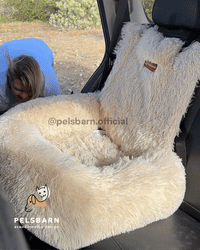 Orthopedic Calming Dog Bed Aussie