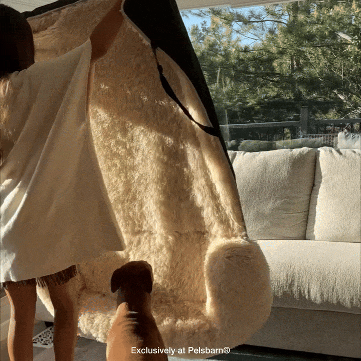 Pelsbarn Comfy Nest: Your Dog’s New Best Friend