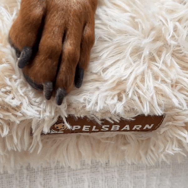 Orthopedic Calming Bed