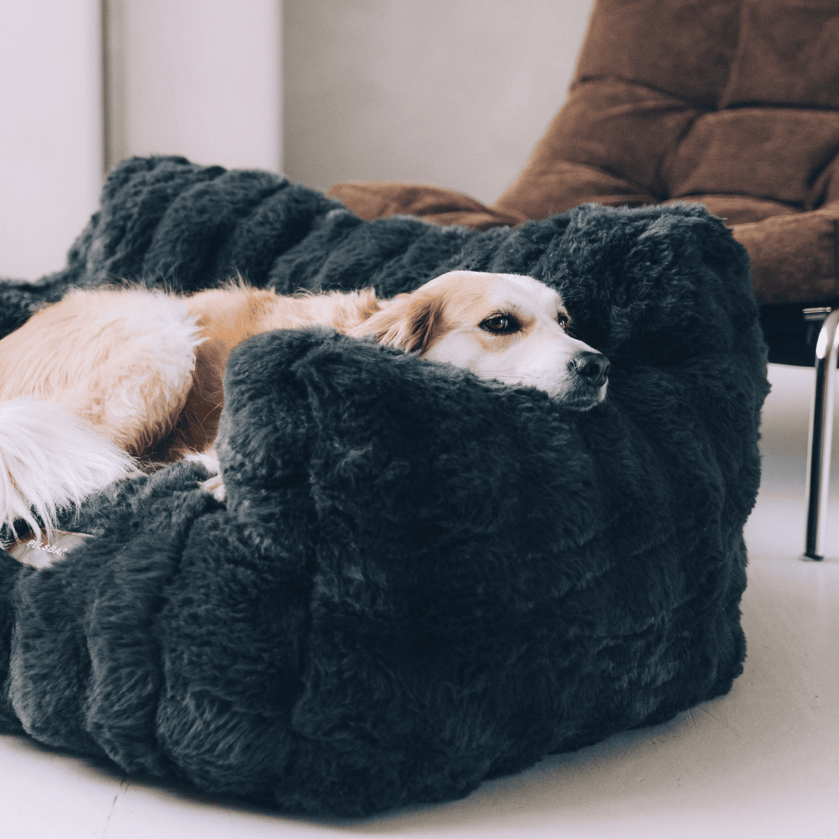 Luxurious Calming Couch