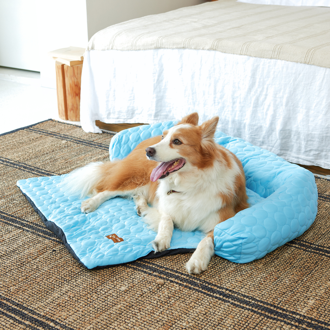 Pelsbarn Cooling Bed (4x more effective) BOGO Deal