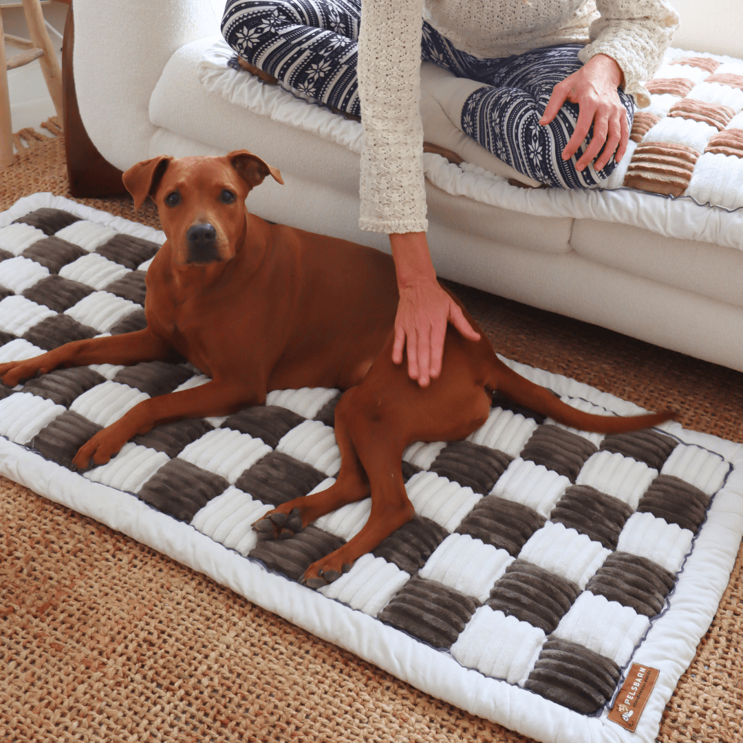 Comfy Couch Protector Bed