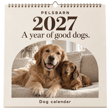 2027 Calendar