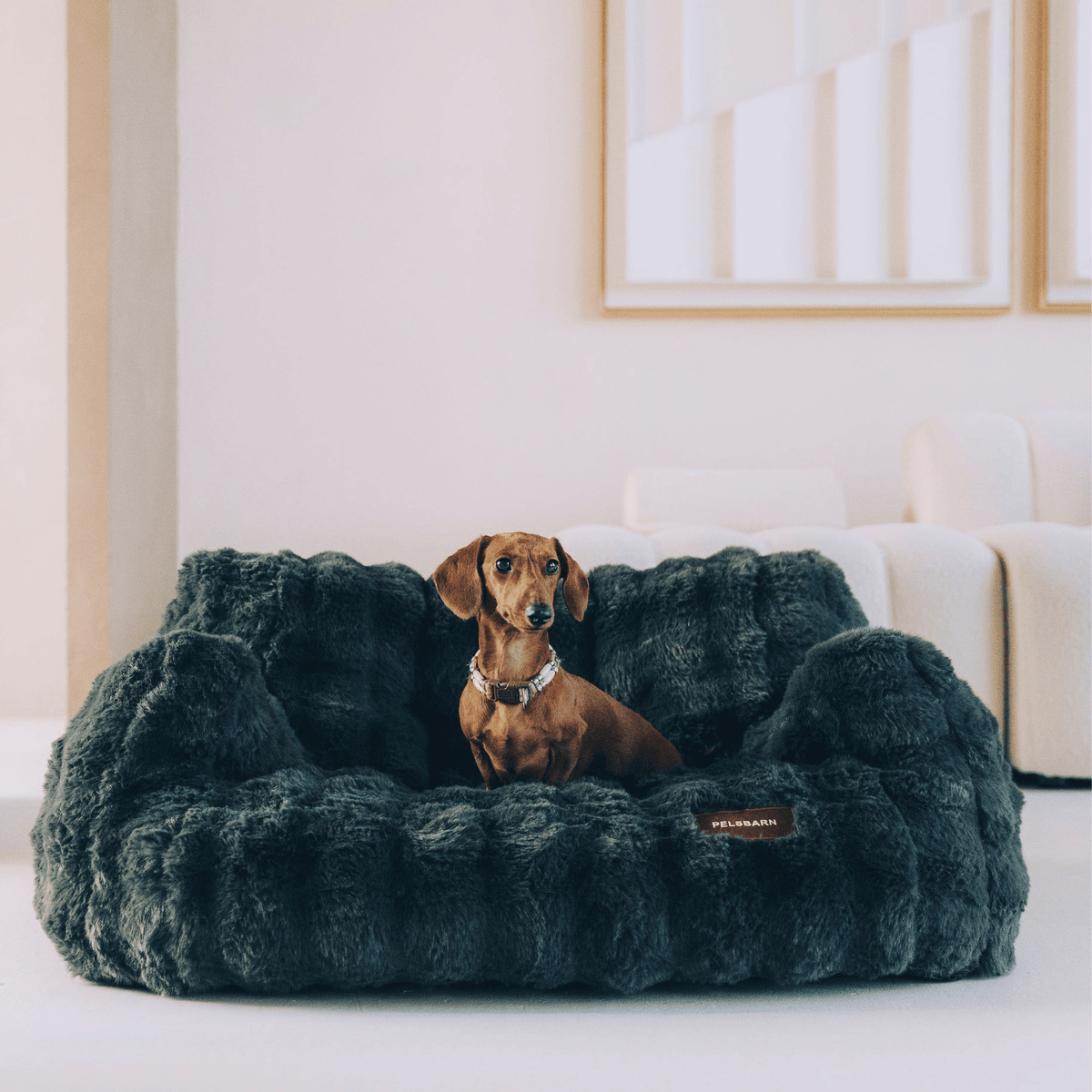 Luxurious Calming Couch