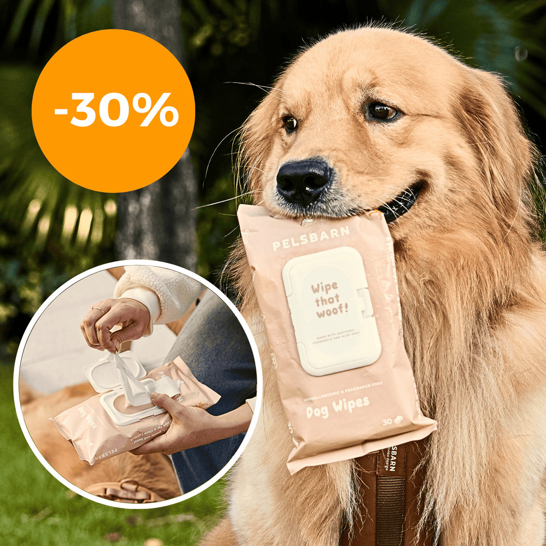 Eco Dog Wipes for clean paws