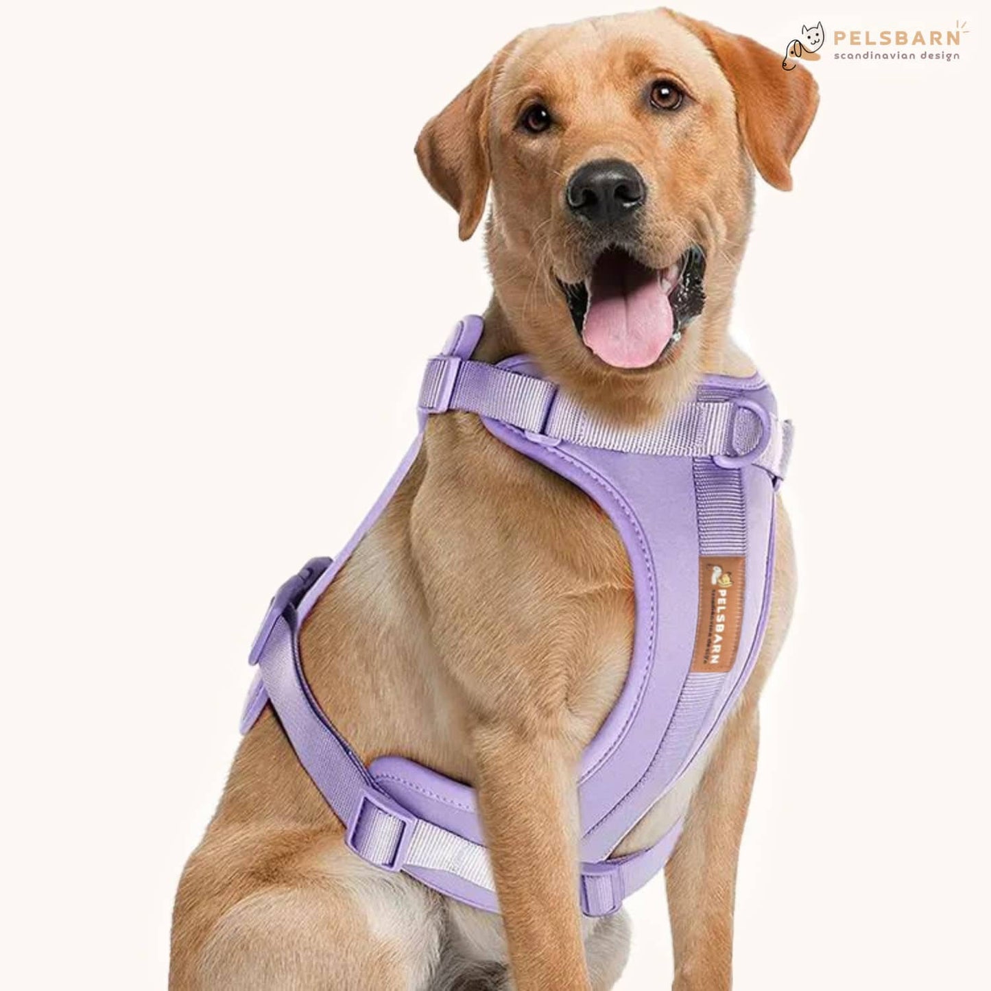 No-Pull Harness Walk Kit + free leash and poop carrier