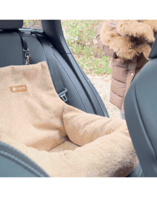 Teddy Car Bed