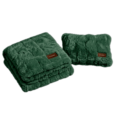 Luxurious Blanket & Pillow