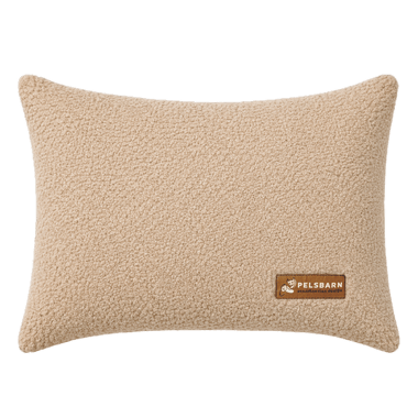 Teddy Pillow