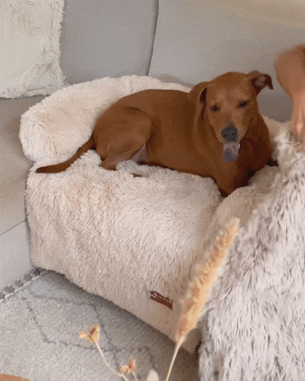 Calming Relief Blanket