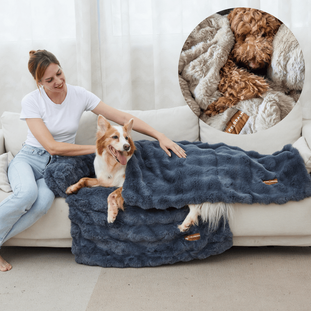 Luxurious Self-Warming Calming Blanket (BOGO)