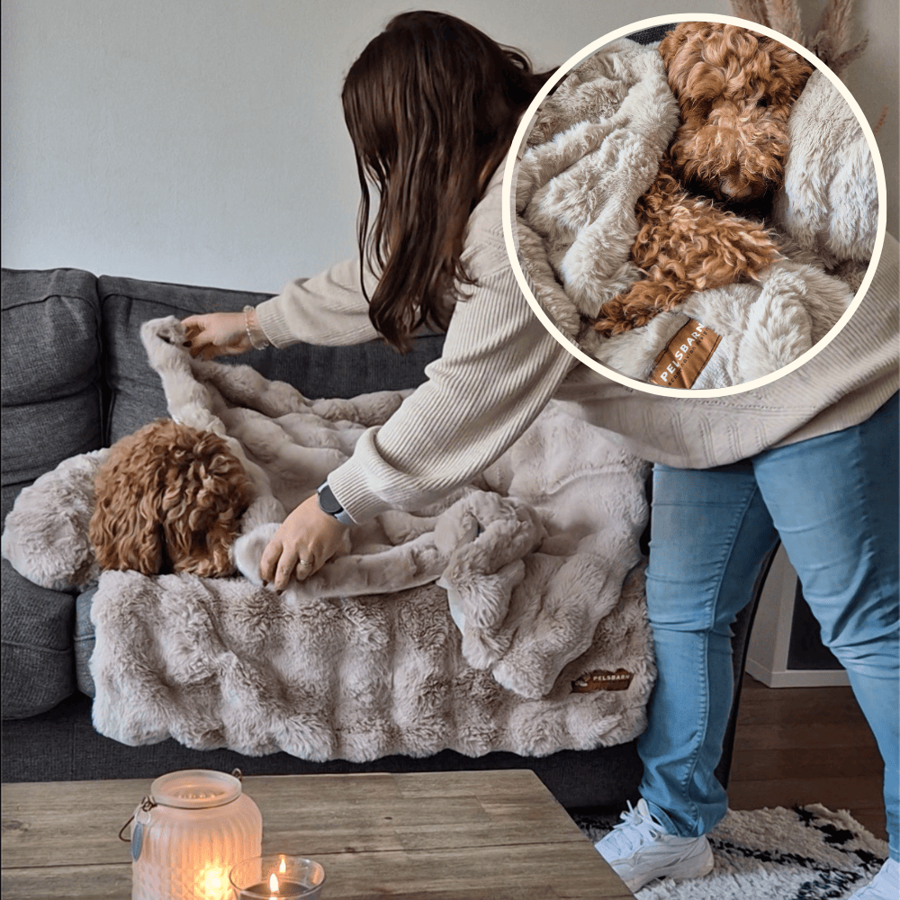 Luxurious Self-Warming Calming Blanket (BOGO)