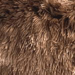 Brown-Beige