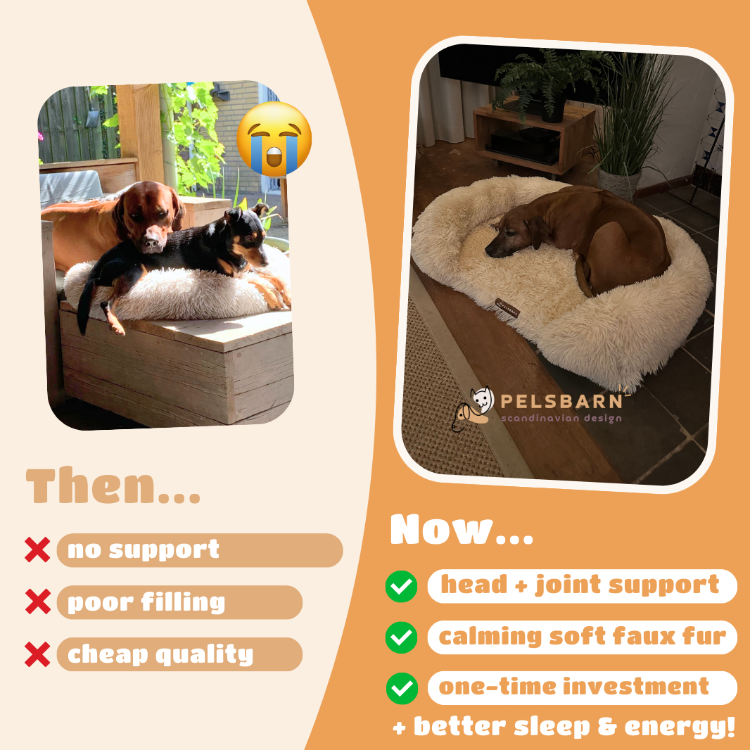 Orthopedic Calming Bed