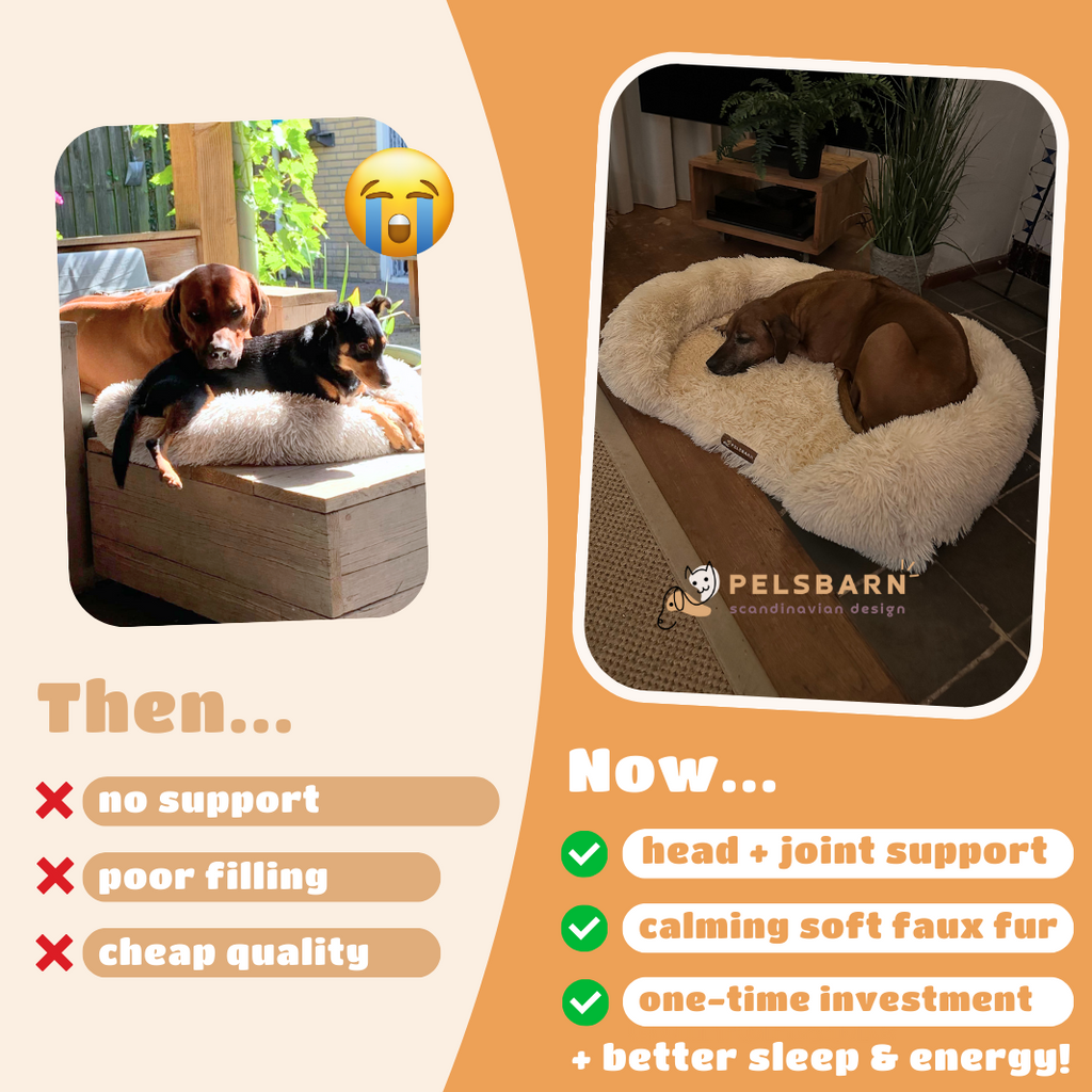 Orthopedic Calming Dog Bed