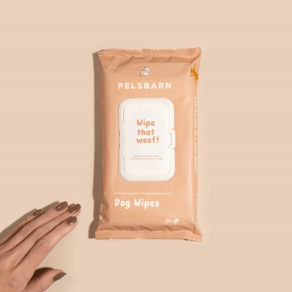 Eco Dog Wipes for clean paws