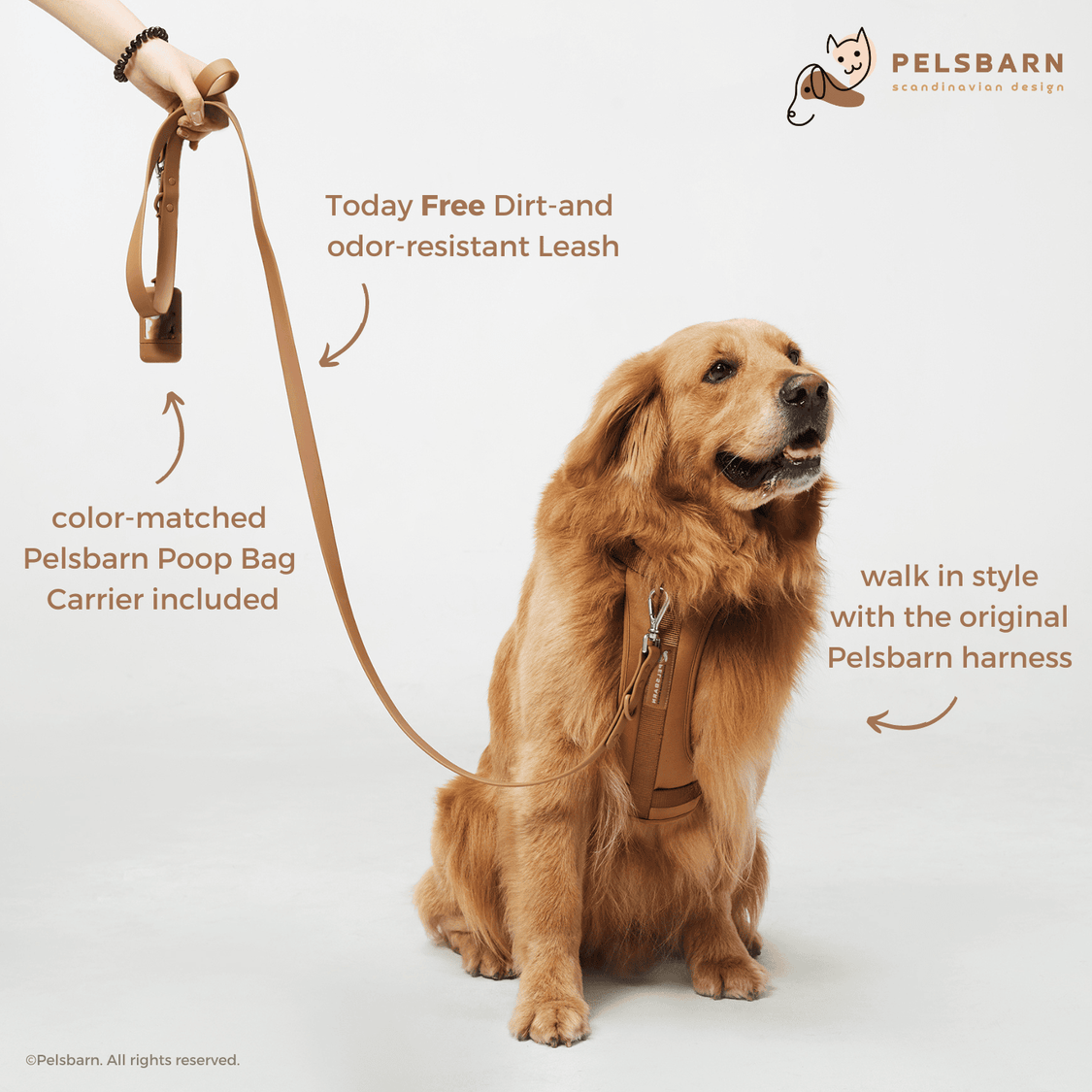 Pelsbarn No-Pull Harness Walk Kit