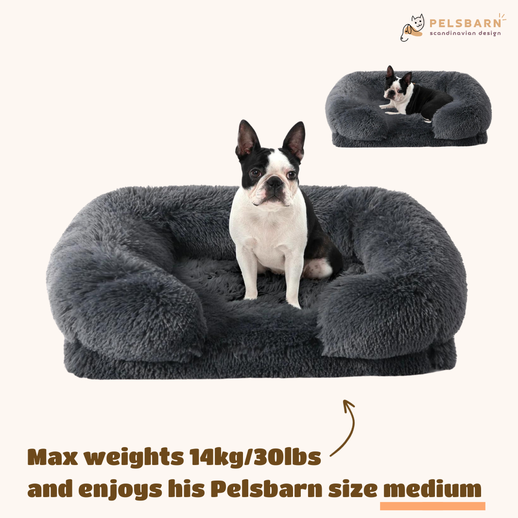 Orthopedic Calming Dog Bed Aussie