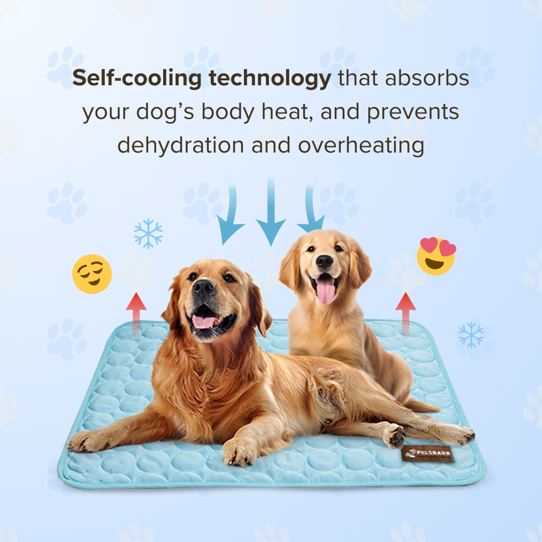 Pelsbarn Cooling Mat 4x more effective