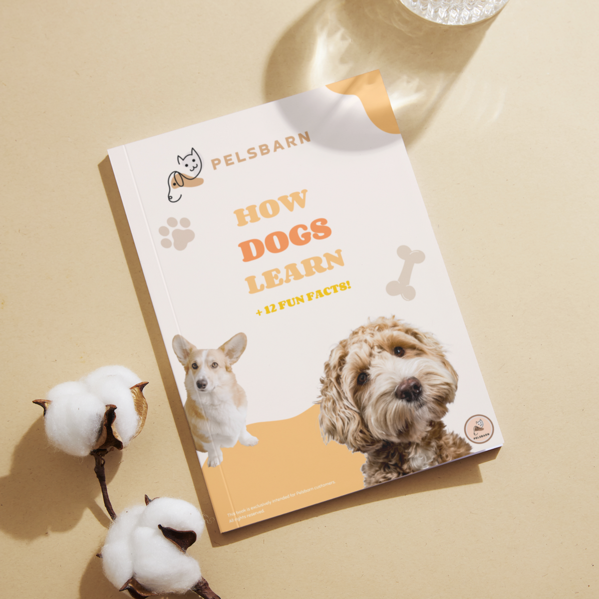 How Dogs Learn e-book