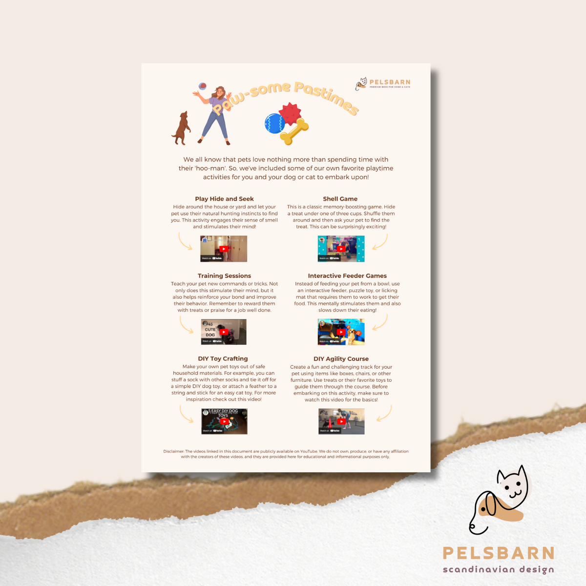 Pet playtime activities