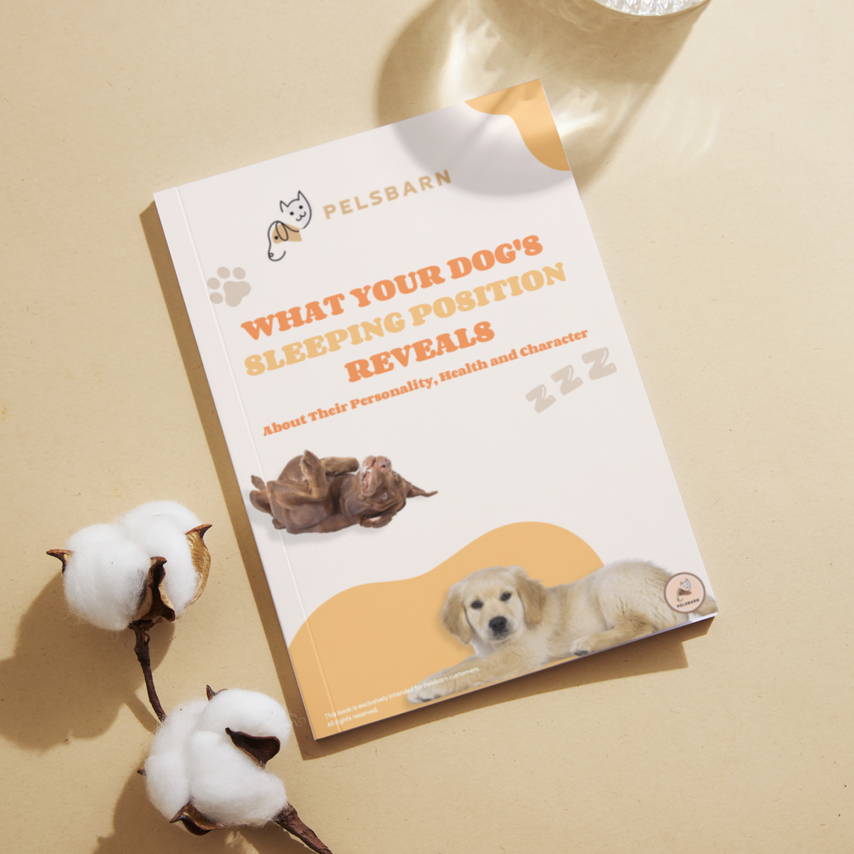 What your dog's sleeping position reveals e-book