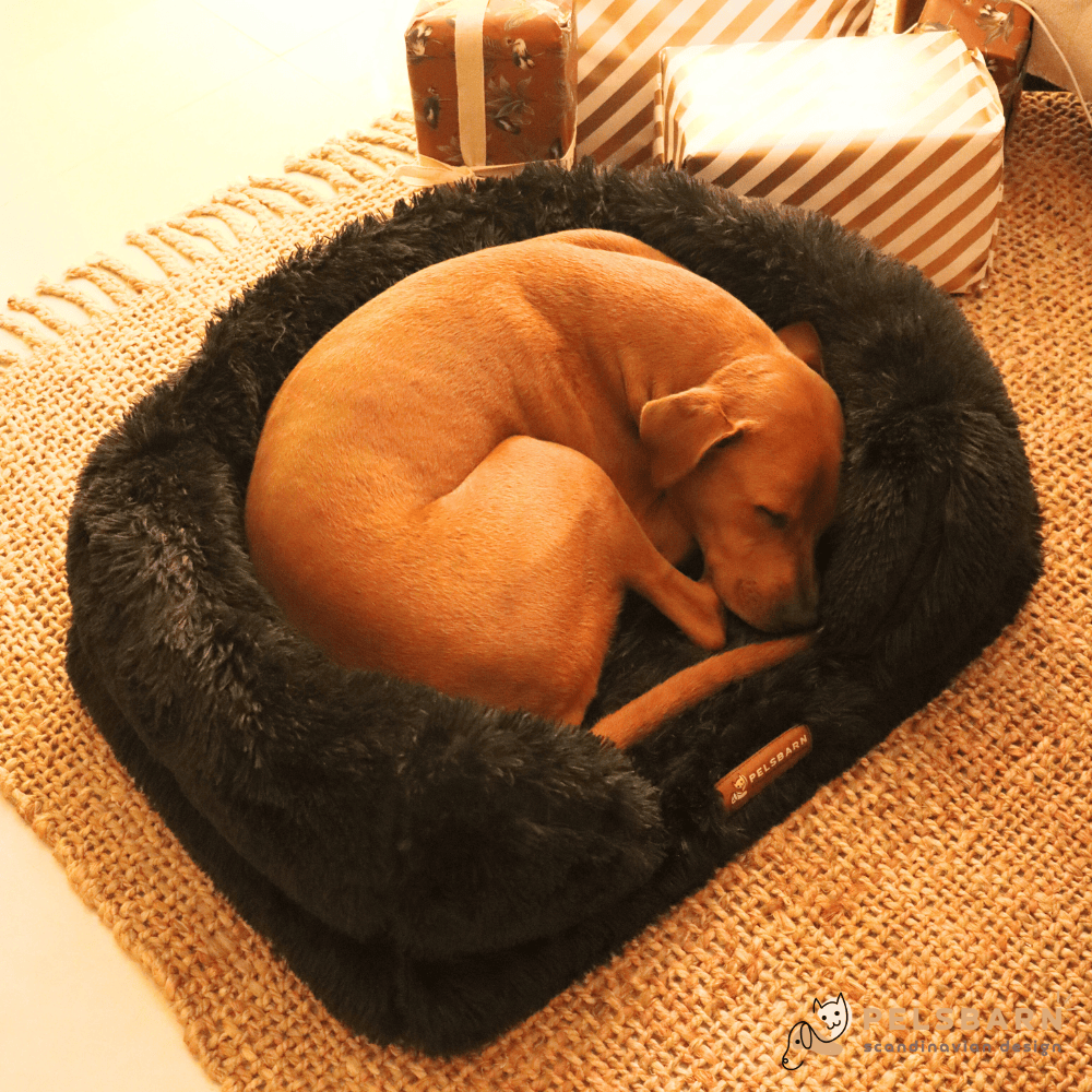Orthopedic Calming Bed