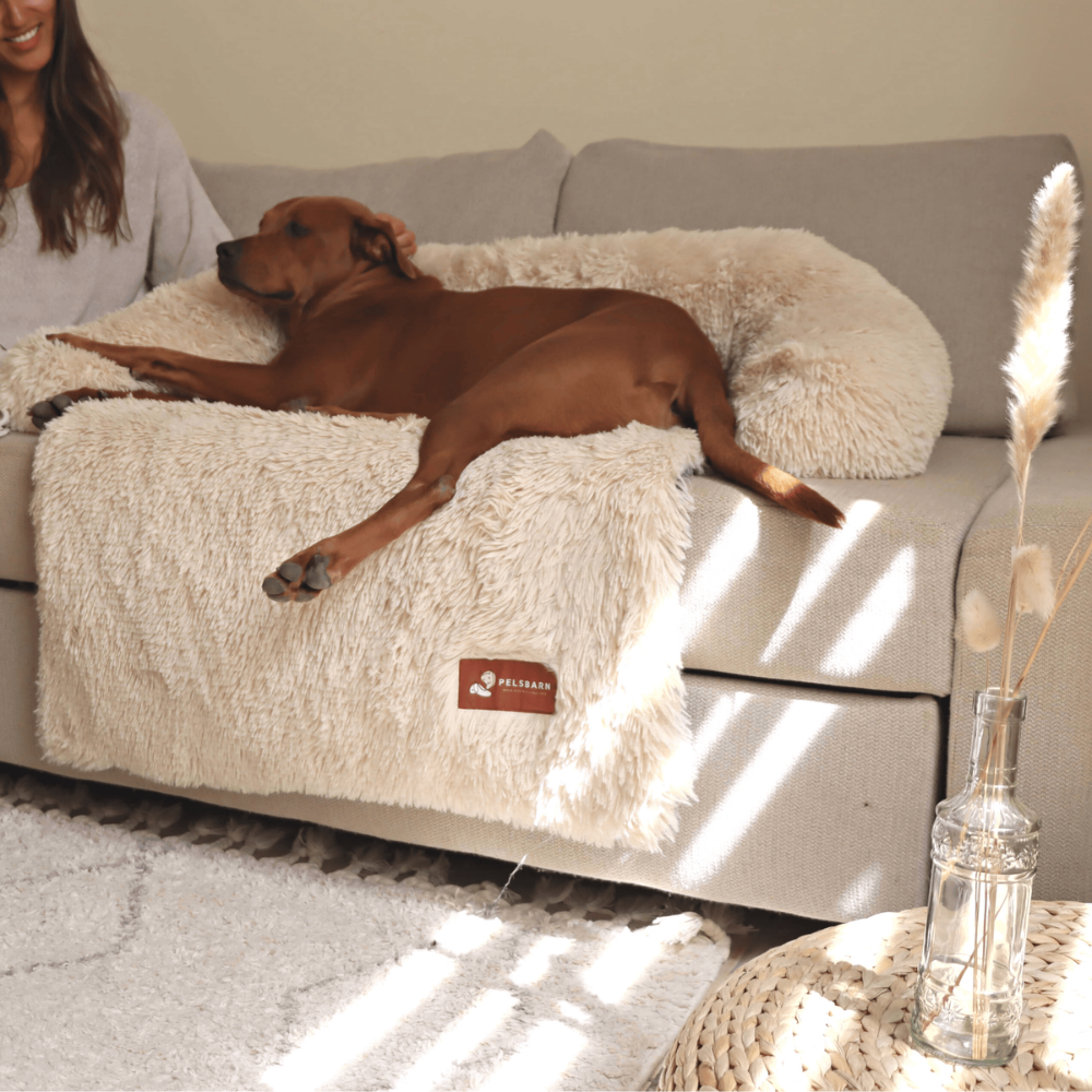 NEW Upgraded Calming Pelsbarn Bed