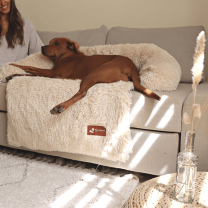 NUEVA cama Pelsbarn relajante y mejorada