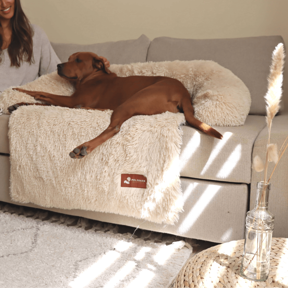 Ambaby Cozy Soft Dog Bed Orthopedic Washable Puppy Cushion Anti