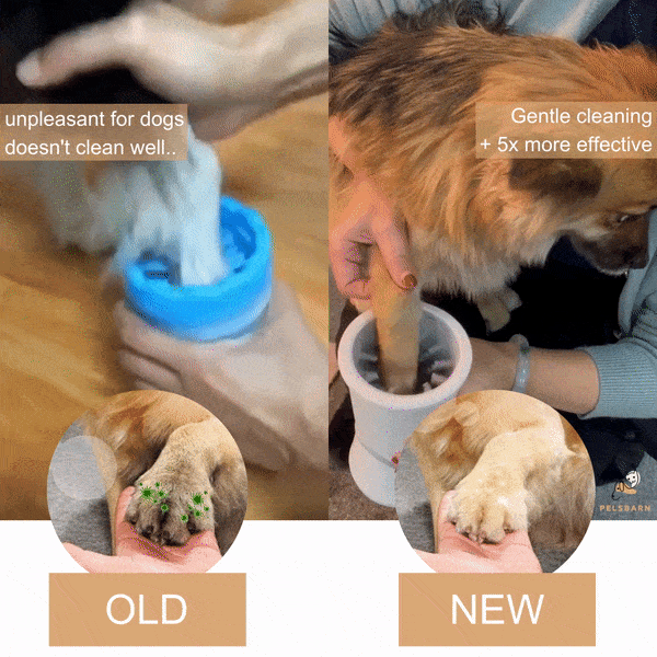 Automatic dog online paw washer