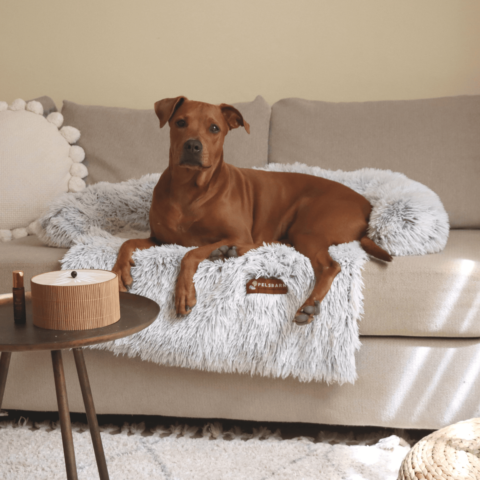 Pelsbarn.org - Helping dogs | Original Pelsbarn Bed