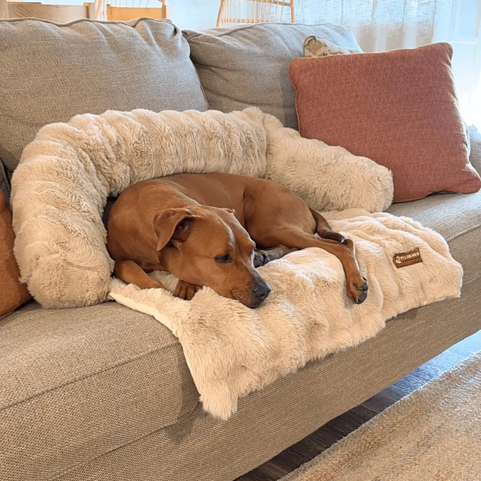 A dog resting in a beige Pelsbarn Luxurious Sofa Bed on a sofa
