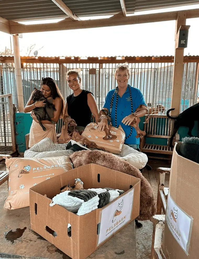 Pelsbarn supporting shelter dogs with product donations
